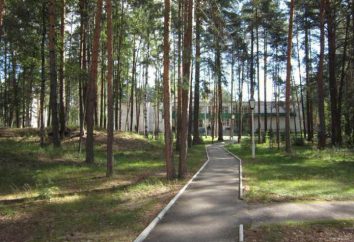 Sanatorium „rosyjski las”, Vladimir region: opis, funkcje i opinie