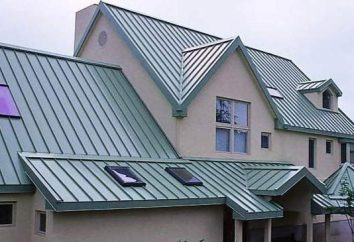Die Wahl Material für Dacharbeiten: was ist besser – oder Metall Decking?