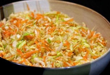 Schritt für Schritt Rezept Vitamin Salat und Karotten und Kohl