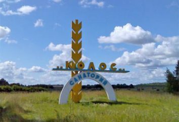 Sanatório "Kolos" Kostroma: comentários de turistas