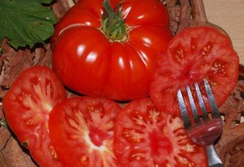 Pomidor Marmande. Opis odmiany i charakterystyka uprawy