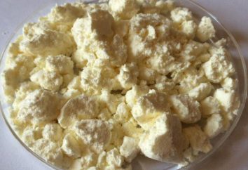 La albúmina queso cottage: el contenido calórico, estructura, beneficio y el daño al cuerpo