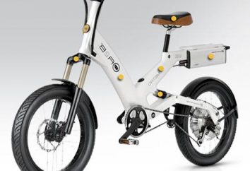 Un nuovo tipo di veicolo – bici elettrica. recensioni degli utenti