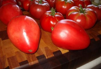 Descrizione e valutazioni pomodori "Mazzarino"