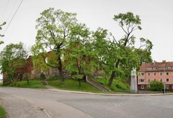 Insterburg Castle: Beschreibung, Geschichte, interessante Fakten