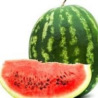 Watermelon – bacca, amato da tutti