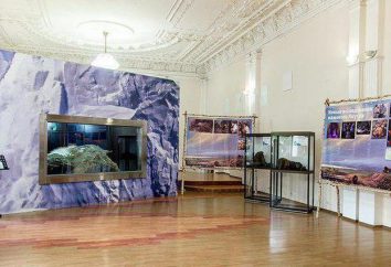 Art Gallery (Wladiwostok) – reine Kunst