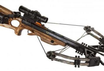 Hunting Crossbow: dibujos, especificaciones, fotos. Cómo hacer una ballesta de caza con sus propias manos?
