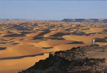 Die Länge der Sahara von Norden nach Süden, von Süden nach Norden