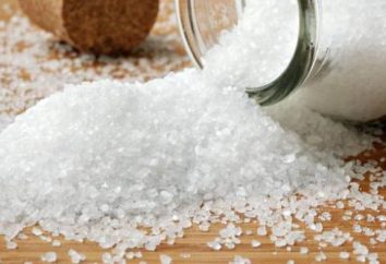 Qual é a taxa de sal por dia para uma pessoa?