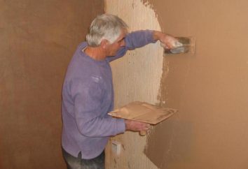 Tynkowanie ścian tapetami własnymi rękami: instrukcja, technologia i opis
