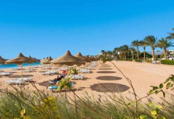 Hotéis Egipto com entrada de areia do mar para férias em família confortável