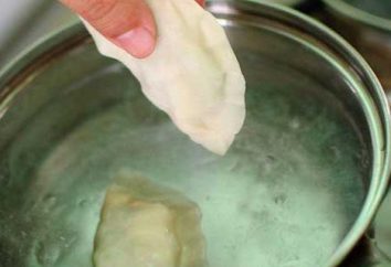 Cocinar deliciosas albóndigas! Cómo cocinar las albóndigas con patatas, queso y cereza?