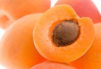 Abricots: propriétés caloriques et bénéfiques