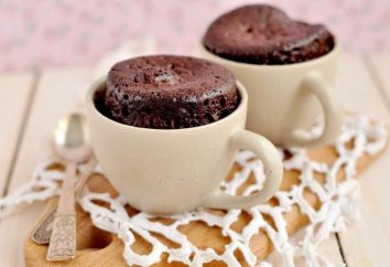 pastel de chocolate especial en un horno de microondas durante 5 minutos