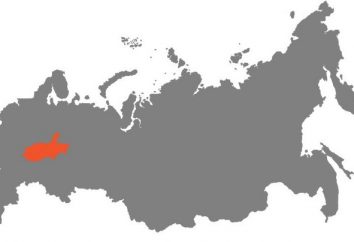 Wolga-Wjatka Wirtschaftsregion: Eigenschaften, die Zusammensetzung, die natürlichen Ressourcen. EGP Wolga-Wjatka Wirtschaftsregion Russland