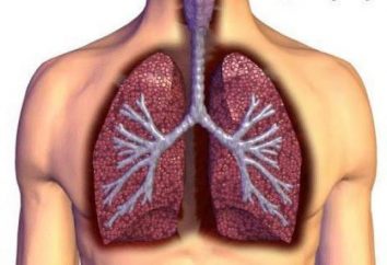 Pleurisy Licht: was es ist, wie die Menschen der Mittel zu behandeln? Ursachen, Symptome und Behandlung von Pleuritis Lunge. Wie gefährlich Rippenfellentzündung Lunge?