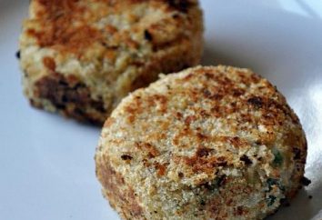 Fishcakes brochet – une recette rapide et facile