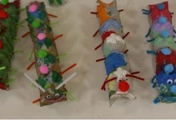Kunsthandwerk aus Abfallmaterial für den Kindergarten. Tipps für Lehrer, Mütter und Väter