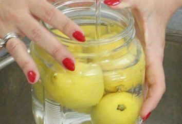 Comment puis-je stocker les citrons à la maison? citron congelé