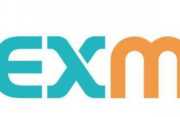 Cambio de EXMO: revisión y retroalimentación