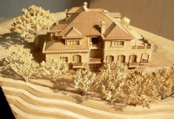 El cartón corrugado: opiniones y la construcción de casas hecho de ella