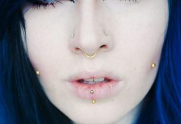 Bridge – piercings dans le nez. bijoux piercing