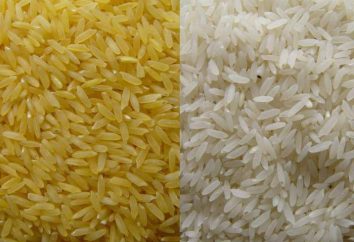 arroz parboilizado: benefícios e danos ao corpo, especialmente a preparação e comentários