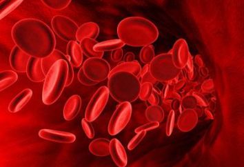 Le groupe sanguin rare – les caractéristiques individuelles