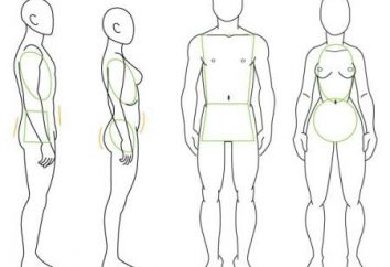 Jak narysować ludzką pełnej długości? Jak rysować krok po kroku osobę?