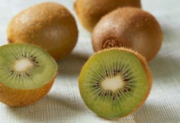 Beneficios y daños de kiwi – consideran peludo fruta verde cerca