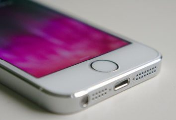 Co zrobić, jeśli iPhone 5s nie działa przycisk „Home”? Powodem, przyciski zamienne