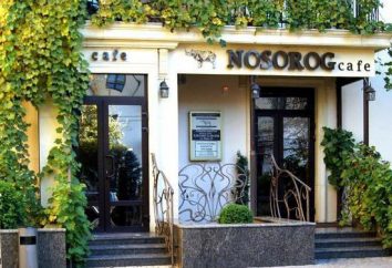 Cafe „Nosorożec” Volgograd: adres i opinie