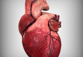 aortalnej: struktura, mechanizm działania. Zwężenie i niewydolność zastawki aortalnej