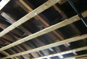 Aislamiento acústico de un techo en el piso bajo el falso techo con las manos