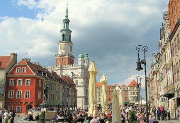 Poznan (Polonia): attrazioni, foto e recensioni