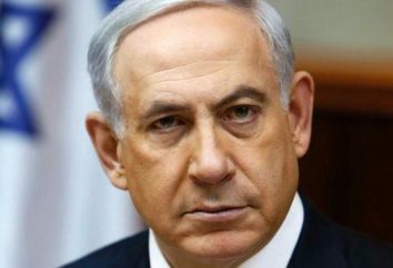 Der israelische Ministerpräsident Benjamin Netanyahu