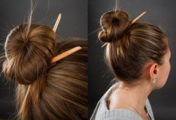 COIFFURE avec un crayon. Les coiffures les plus simples pour chaque jour