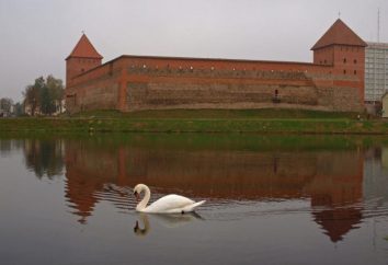 Bielorussia, Lida – Attrazioni