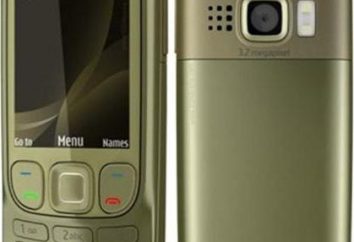 Panoramica 6303i Nokia Classic. caratteristiche