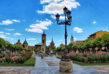 Alcalá de Henares: a cidade, com ansiedade relacionada com a memória histórica