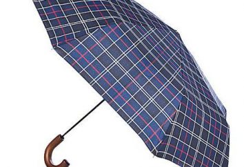 Comment choisir le parapluie d'hommes: conseils