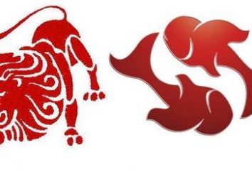 Love Compatibility: Lions and Fish