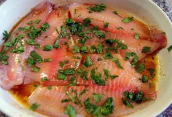 Marinata per i pesci: ricette interessanti. Marinata per il salmone