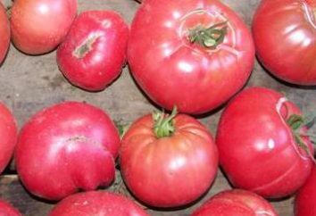 Grande qualità siberiano allevamento – (pomodoro) segreto della nonna