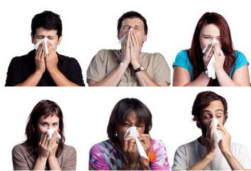 Cómo hacerte estornudar? consejos y remedios caseros maneras profesionales