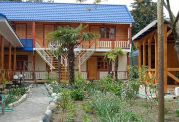 Callejón de Cypress en Pitsunda: opiniones de casas