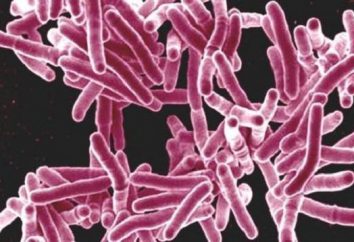 La tuberculosis del intestino: causas, síntomas, diagnóstico y tratamiento