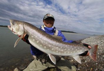Połowów na Syberii: cechy i korzyści