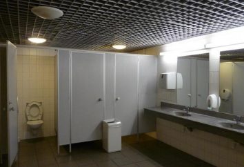 Toilettes publiques: description des espèces. Toilettes publiques à Moscou